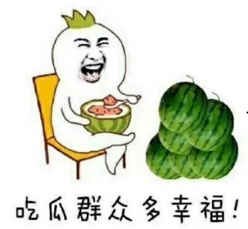 关于娱乐圈吃瓜